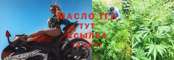 стаф Инта