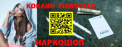 спиды Гатчина