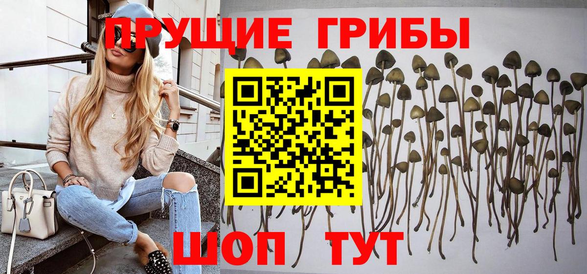 Галлюциногенные грибы мухоморы  Псилоцибиновые грибы ЛСД  Абинск 