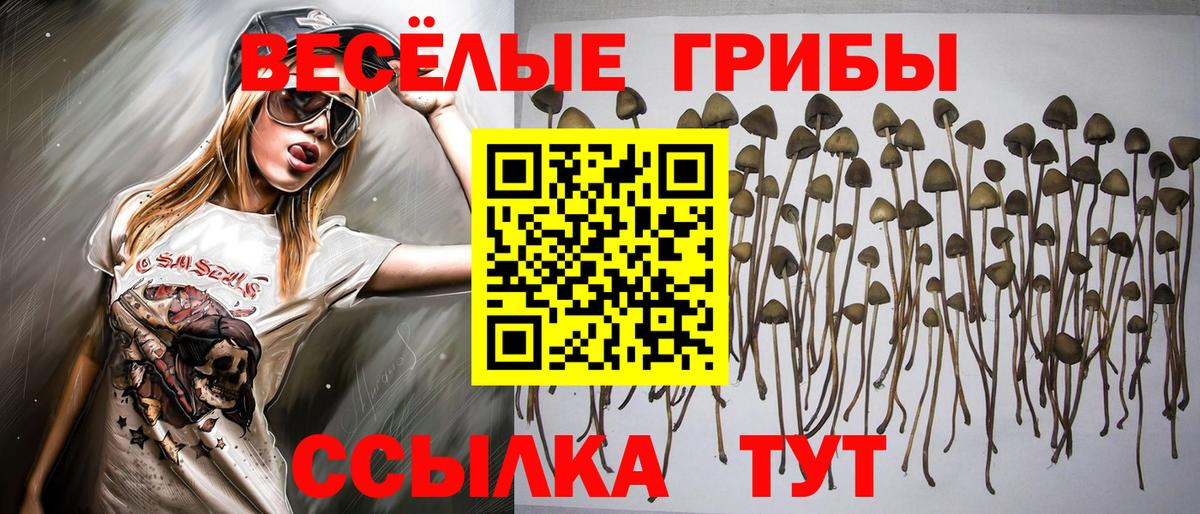Галлюциногенные грибы мицелий  Вход с VPN  Абинск 