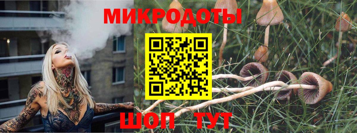 Галлюциногенные грибы GOLDEN TEACHER  Псилоцибиновые грибы MAGIC MUSHROOMS  Вход с VPN  Абинск 