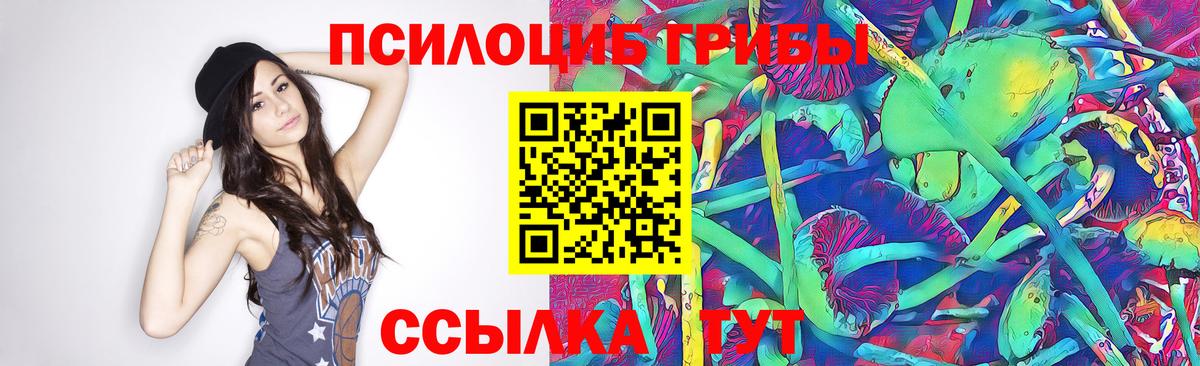 Галлюциногенные грибы прущие грибы Абинск