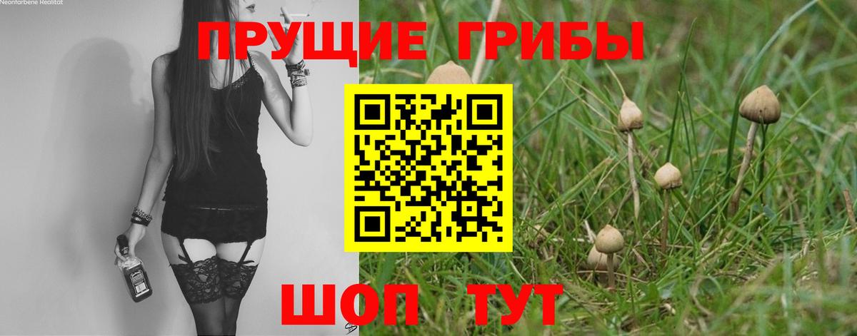 Канабис  Каннабис  Абинск  КОКАИН  Мяу-Мяу  Вход с VPN 